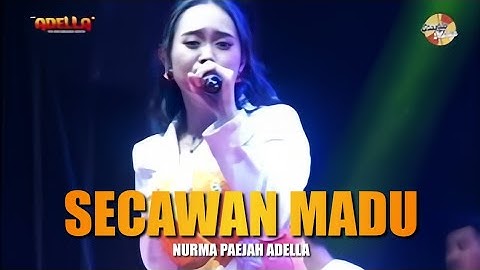 SECAWAN MADU - Nurma Paejah Adella || LIVE OM ADELLA BEKASI "PLAT AD GAYA BEBAS"