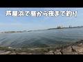 芦屋浜でシーバス釣りましょう。