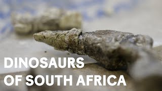 Digging the Dinosaurs of South Africa