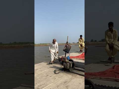 Bearre Kay Pass Se Petar Ke Karib Nag Saanp