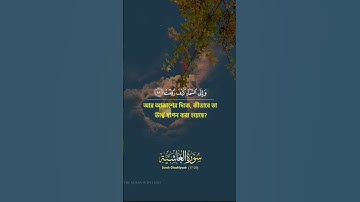 سورة الغاشية #القارئ #الشيخ عبد الرحمن سعد#اكسبلور #لايك #صلوا_على_النبي #ترند  #القرآن_الكريم