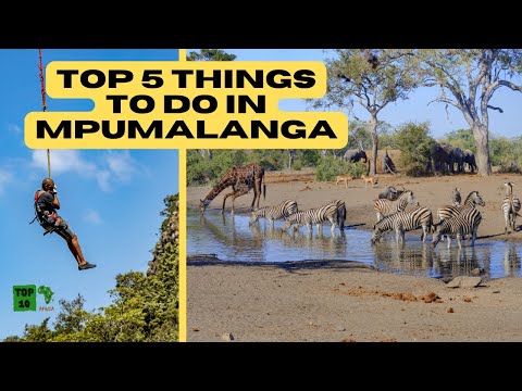 Top 5 Things to do in Mpumalanga