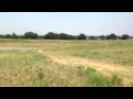 Sure shot exploding target