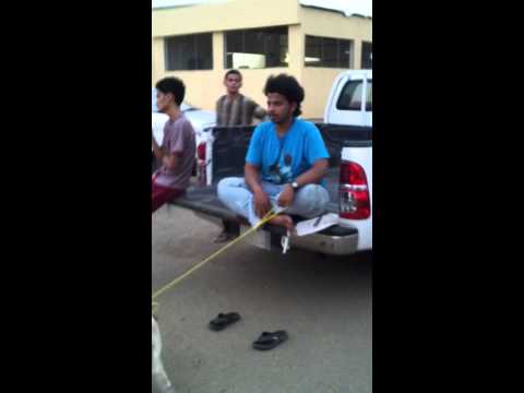 علي هندي وخروفه المطعوج هههه