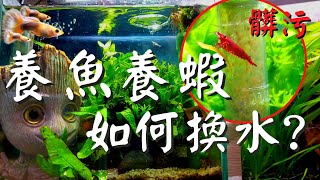 【岳來悅蝦】養魚養蝦換水 換水祕密大公開!! 超方便吸底砂新手養魚不再是難事新手養蝦越養生越多養魚養蝦換水孔雀魚缸蝦缸過濾器 #6