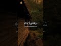Surah Muzammil ❤️ #viralshort #duet #quran #allaiwal_official #shortvideo #youtubeshorts #ytshort