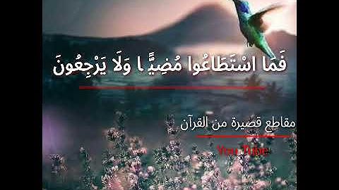 مقطع من سورة يس||الْيَوْمَ نَخْتِمُ عَلَىٰ أَفْوَاهِهِمْ||حالات واتس اب دينية||وصف مهم