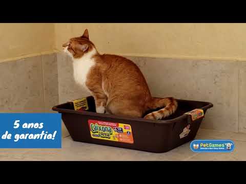 CAIXONA DE AREIA PET GAMES - GELO - Mundo Catnip