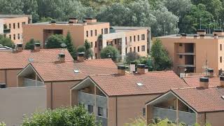 Olloqui u Olloki 7/2024