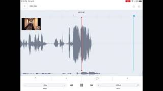 Buying a goat on Craigslist but with audio stretch