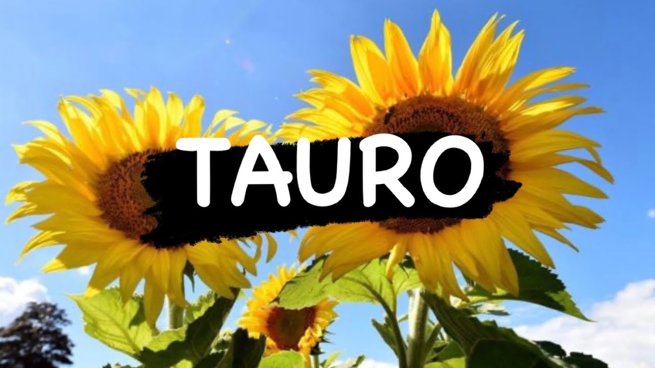 TAURO - ¡BENDICIÓN DE DIOS PARA TI!🙌🏼🕯 VENDRÁ DE VUELTA TODO LO QUE HAS ...