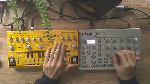 Enzo Citrulli - Gød is a DJ // Behringer TD-3 // Model Cycles // ACID