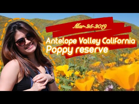 วีดีโอ: Antelope Valley California Poppy Reserve Guide: วางแผนการเดินทาง