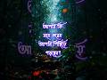 আপনি কি মনে করেন আপনি পিছিয়ে পড়ছেন?Best Heart Touching Motivational#Inspiration#shortsfeed