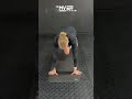 Pigeon Stretch