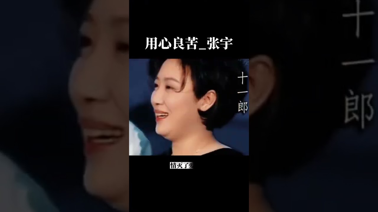 用心良苦_張宇