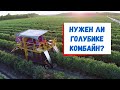 Комбайн для голубики