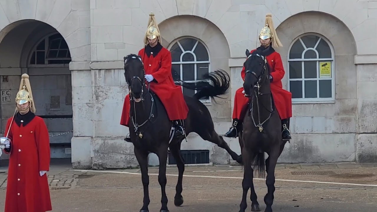 YOU WON’T BELIEVE HOW ABUSIVE HE GETS TOWARDS ROYAL GUARD | Horse Guards, Royal guard, Kings Guard