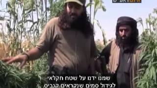הפרק הראשון בסדרת הכתבות על דאע"ש: הכירו את הארגון