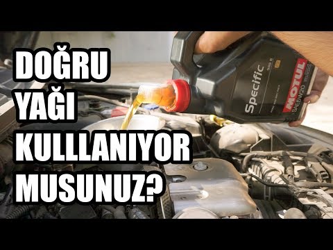 Ne Nedir? | Doğru Yağ Seçimi