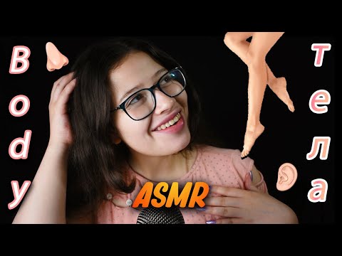 ACMP 💪🏻 т е л о 🦵🏻 VIVI ASMR