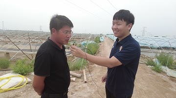 Shrimp farm | bile acids to protect hepatopancreas health & eucalyptus oil to repel parasites |EHP