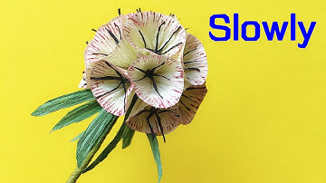 ABC TV | How To Make Scabiosa Pods Paper Flower From Crepe Paper (Slowly) - Craft Tutorial