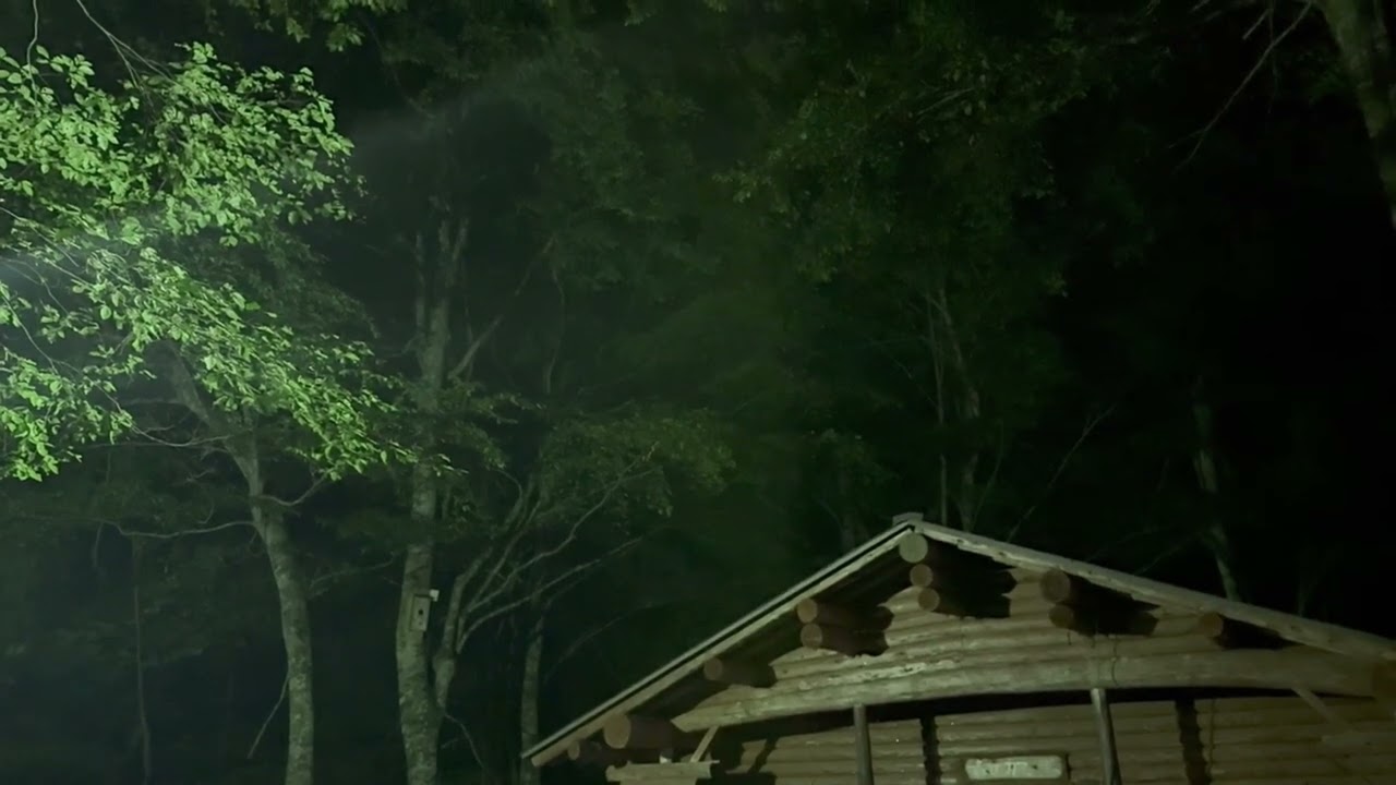 7/23-24 森の様子