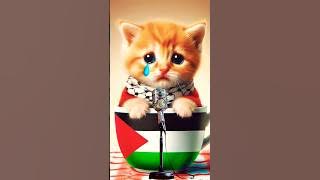 Atuna Tufuli Atouna El Toufoule #kucinglucu #kucingnyanyi #kucingsholawatan #atunatufuli