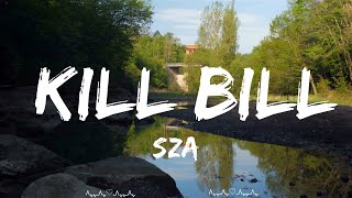 SZA - Kill Bill  || Schmitt Music