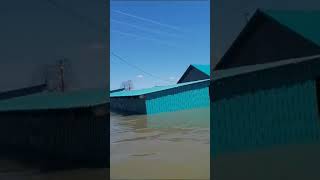 затопило д.Ашаваны Усть-Ишимкого р-на Омской области. кладбище в воде. 10 мая 2024