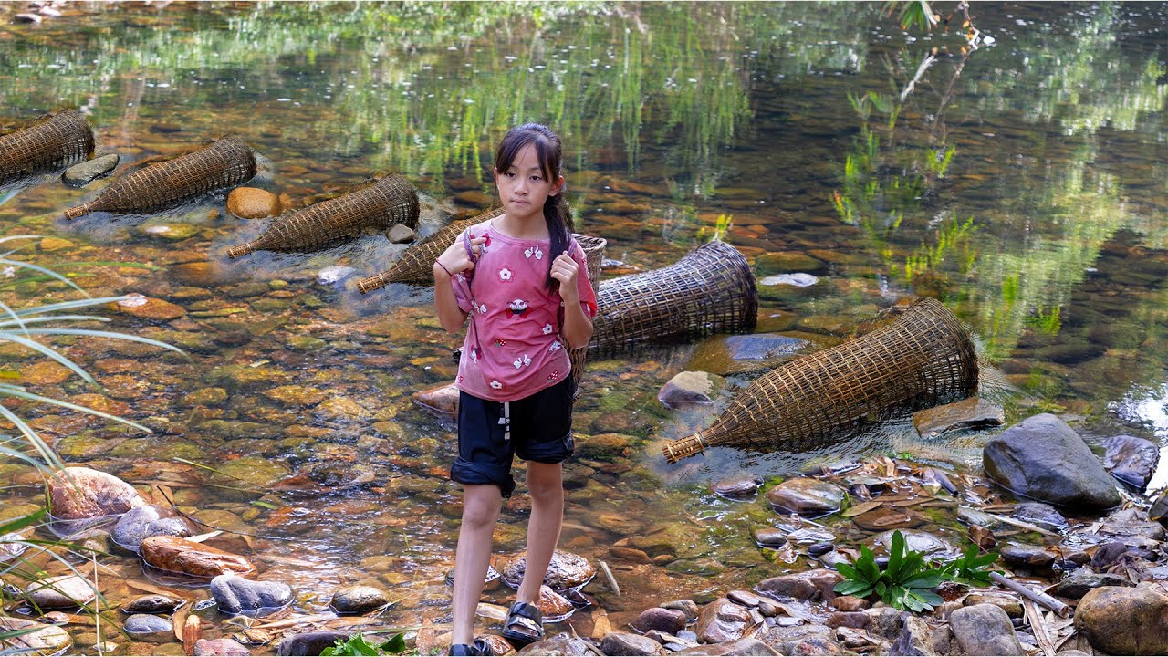 Uses ancient fish traps to catch fish - Poor Girl catches a huge amount ...