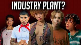 Was steckt hinter dem Mythos "Industry Plant"?