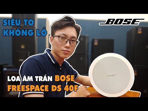 LẠC VIỆT AUDIO | Loa âm trần siêu to khổng lồ Bose Freespace DS 40F