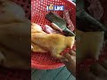 Tiểu hổ vàng um