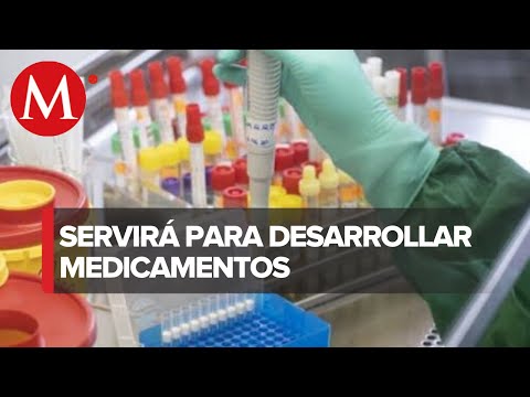 Video: ¿Quién secuenció primero el genoma del covid?