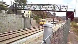 Camello - CP 592