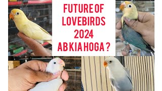 Lovebirds ka Future kia hoga 2024 ?