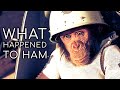 How Ham Defied All Expectations