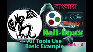 Maltego ; kali linux tools basic example part 4