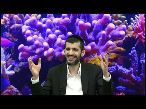 הרב יעקב ישראל גבאי שליט"א פרשת: ''תזריע'' מה ההבדל בין הנפש הבהמי לנפש הרוחני של האדם