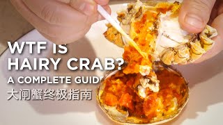 Hairy Crab: If you haven't tried it, you are missing out. Seriously. by Chefitect Yang 17,568 views 3 years ago 17 minutes