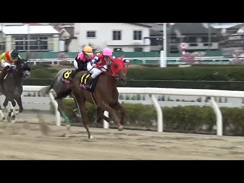 桜花賞（ＳⅠ）1着スピーディキック号（御神本訓史騎手）＆ファンファーレ（個人撮影）2022年3月17日（木）浦和競馬場