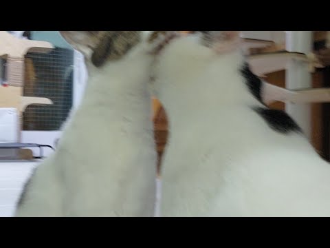 가볍게 <strong>수다떠는</strong> 수요일~!