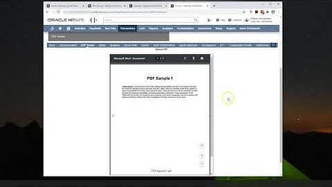NetSuite PDF Preview-Demo