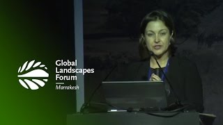 Julia Bucknall: Commitments and ideas for regreening Africa’s drylands – GLF 2016 Marrakesh