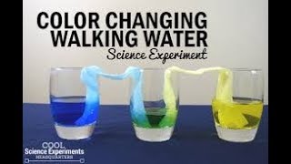 š„Top 10 Science Experiments - Experiments You Can Do at Home Compilationš„