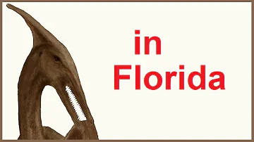 Pterodactyl in Florida - LIVING creature