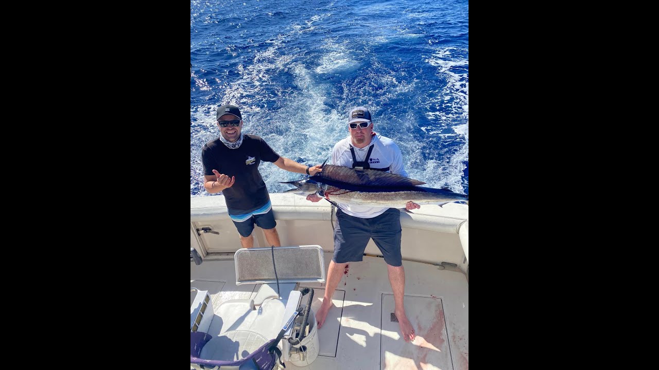 Shortbill Spearfish
