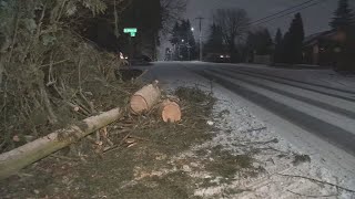 Gresham residents deal with ice, fallen trees as winter storm persists screenshot 1